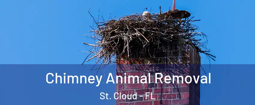 Chimney Animal Removal St. Cloud - FL
