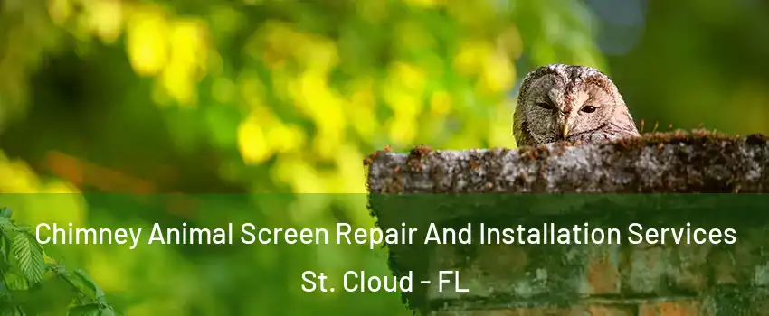  Chimney Animal Screen Repair And Installation Services St. Cloud - FL