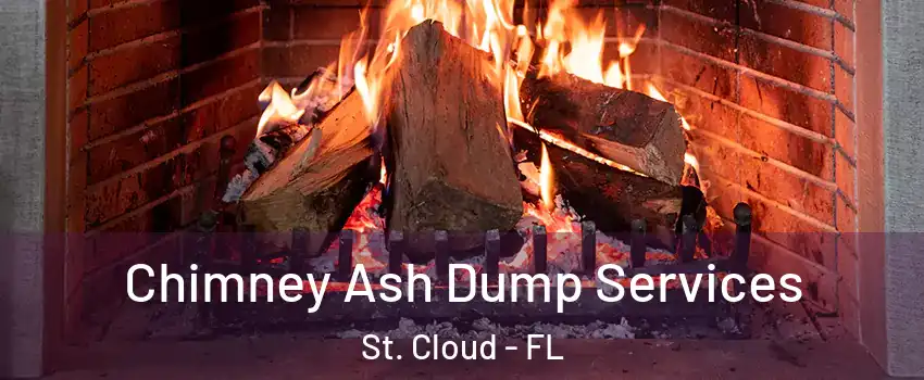  Chimney Ash Dump Services St. Cloud - FL