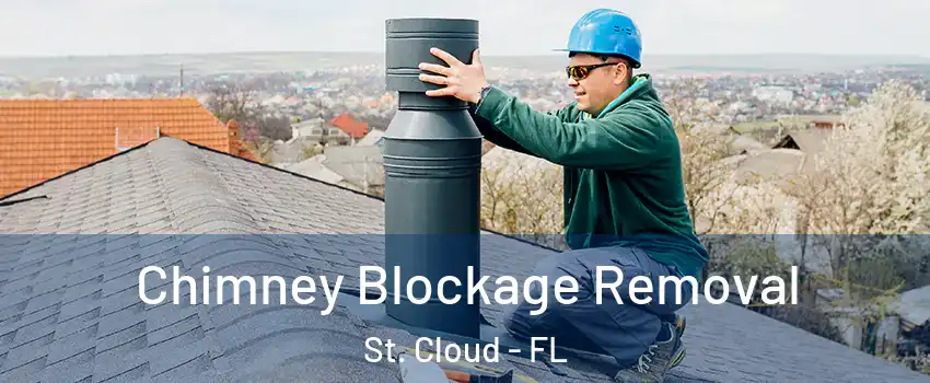  Chimney Blockage Removal St. Cloud - FL
