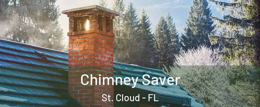  Chimney Saver St. Cloud - FL