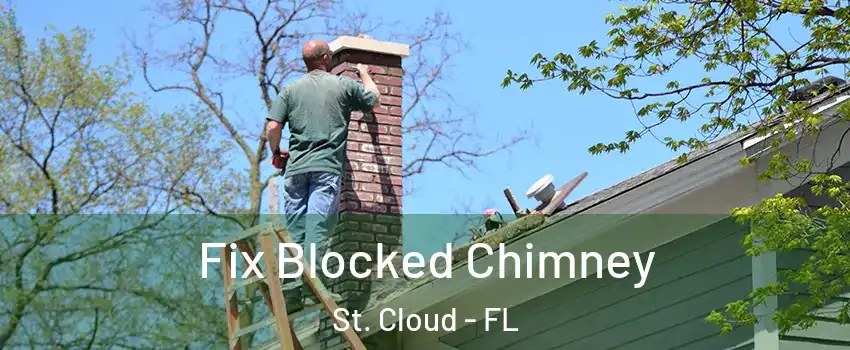  Fix Blocked Chimney St. Cloud - FL