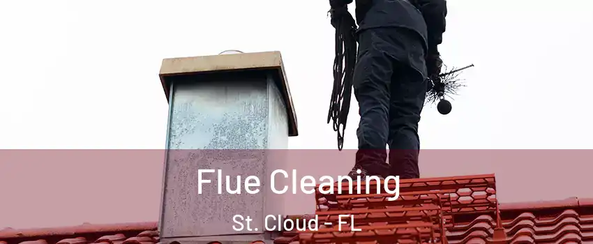  Flue Cleaning St. Cloud - FL
