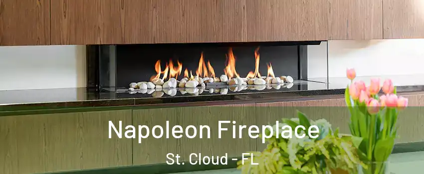  Napoleon Fireplace St. Cloud - FL